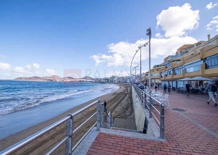 Trip Canteras, New Apartman